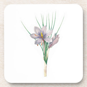 Blume: A007 Herbstkreuz - Getränkeuntersetzer