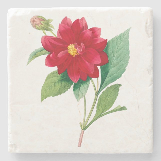 Blume: A010 Dhalia Doble - Steinuntersetzer (Vorderseite)