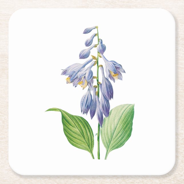 Blume: A012-Taglilie - Rechteckiger Pappuntersetzer (Vorderseite)