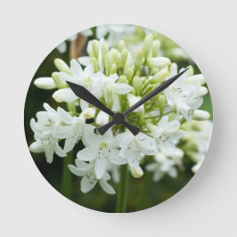 Blume Agapanthus Runde Wanduhr