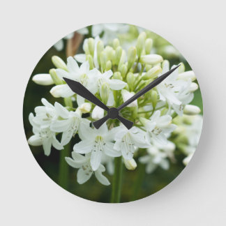 Blume Agapanthus Runde Wanduhr