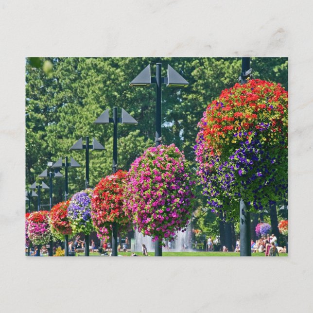 Blume-Aktionskörbe ändern Postkarte (Vorderseite)