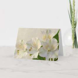 Blume Alstomeria Feiertagskarte