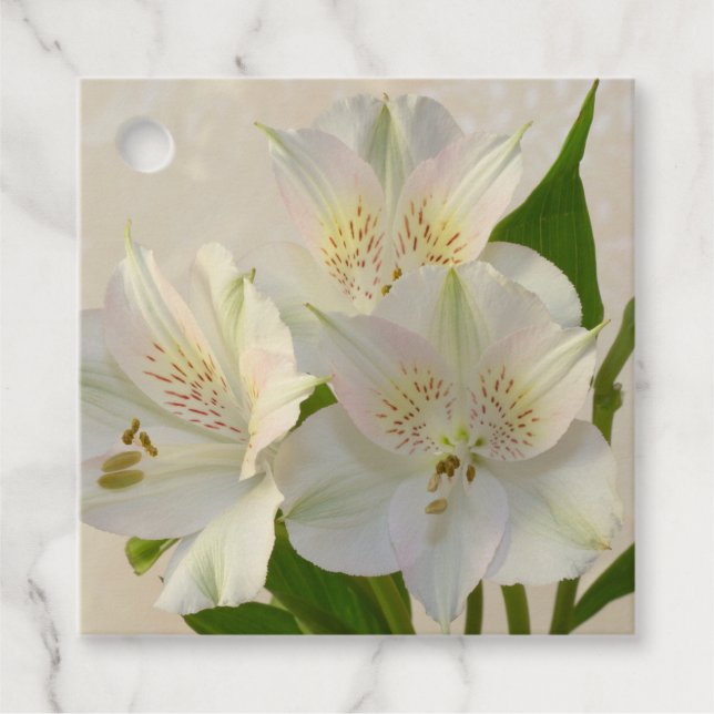 Blume Alstomeria Geschenkanhänger (Vorderseite)