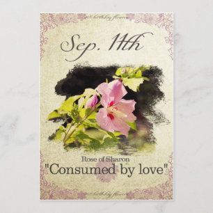 Blume am 11. September "Rose Sharon Karte