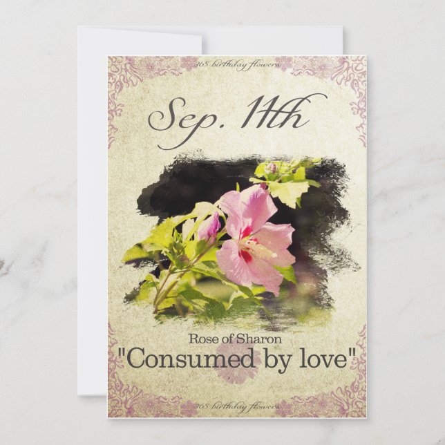 Blume am 11. September "Rose Sharon Karte (Vorderseite)