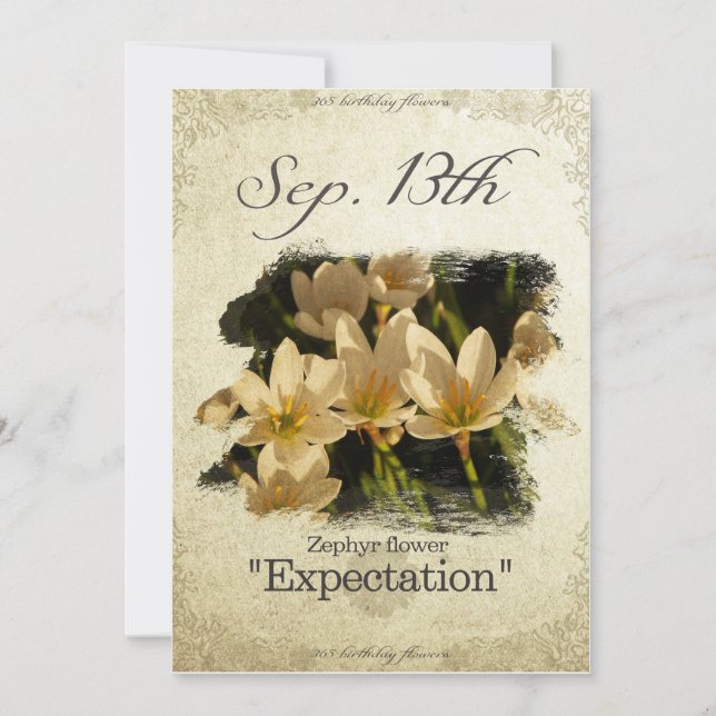 Blume am 13. September "Zephyr-Blume" Karte (Vorderseite)