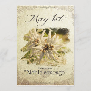 Blume am 1. Mai "Edelweiss" Karte