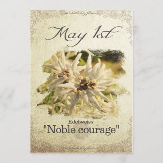 Blume am 1. Mai "Edelweiss" Karte