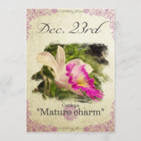 Blume am 23. Dezember "Cattleya"