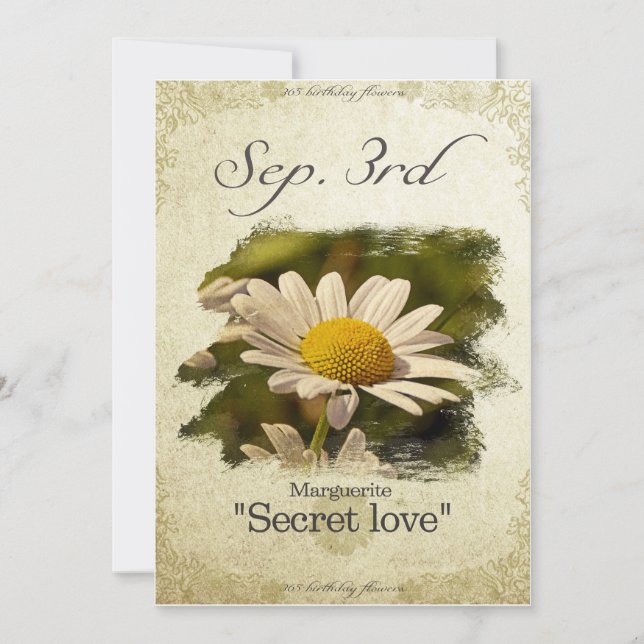 Blume am 3. September "Marguerite" Karte (Vorderseite)