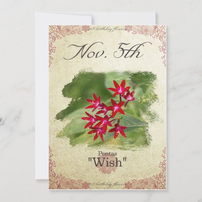 Blume am 5. November "Pentas" Karte (Vorderseite)