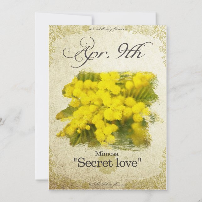 Blume am 9. April "Mimosa" Karte (Vorderseite)