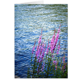 "Blume am langen Teich"