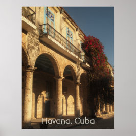 Blume am Plaza de la Catedral, Havanna Poster