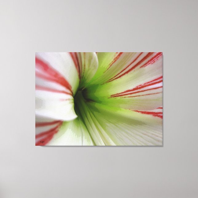 Blume Amaryllis Kunst, Dichtung und Musik Leinwanddruck (Vorderseite)