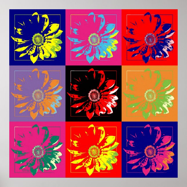 Blume an der Mauer Poster (Vorne)