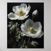 Blume Anemone