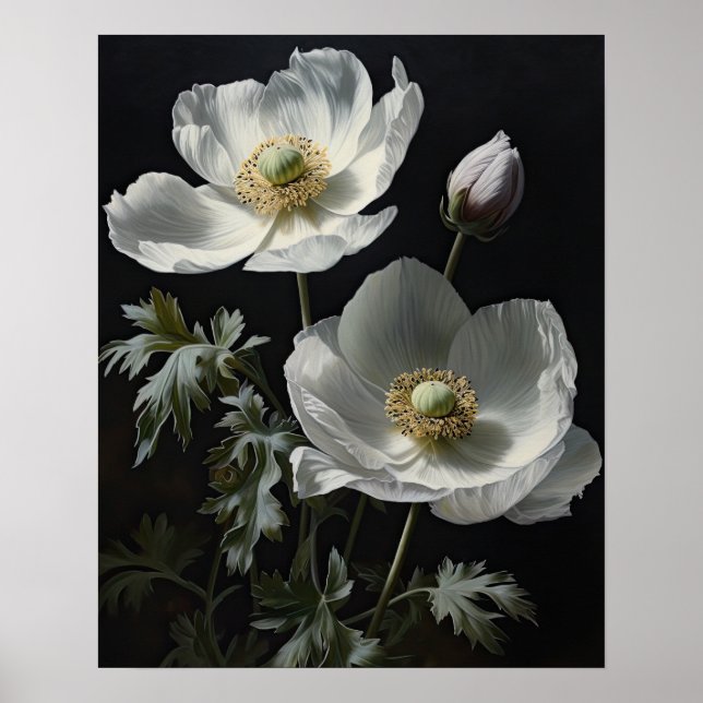 Blume Anemone Poster (Vorne)