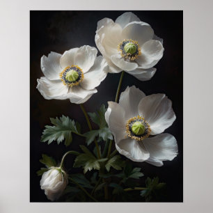Blume Anemone Poster