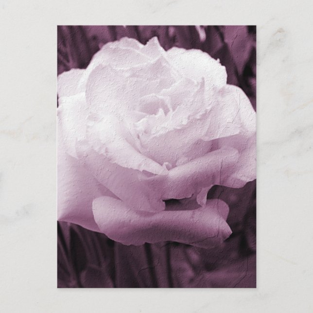 Blume Art Postkarte (Vorderseite)