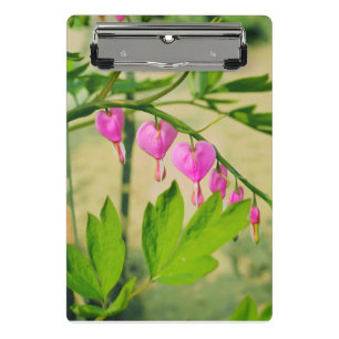 Blume Asiatische Blutungen Mini Klemmbrett