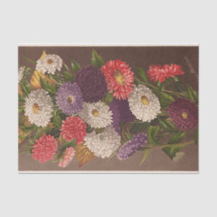 Blume Asters von Ellen Robbins Seidenpapier