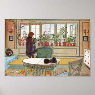 Blume auf dem Windows Poster