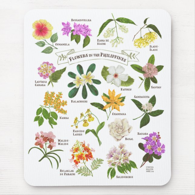 Blume auf den Philippinen Mousepad (Vorne)