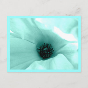 Blume auf der Postkarte 9