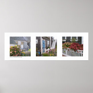 Blume auf Nantucket, Massachusetts Triptych Poster