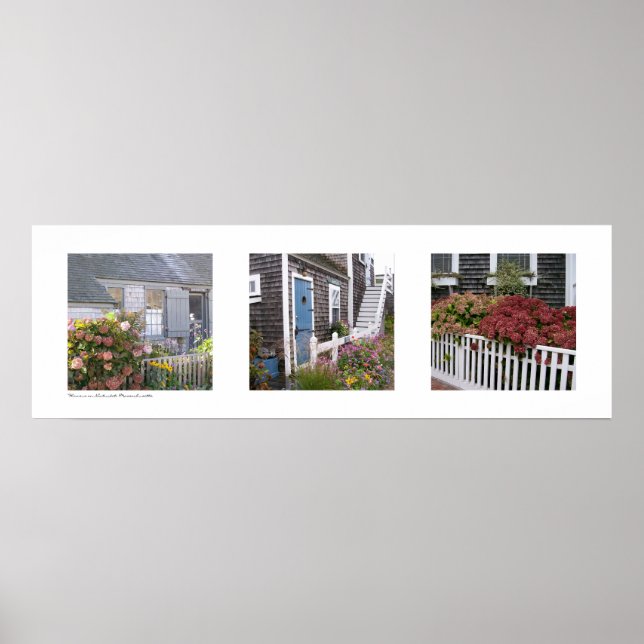 Blume auf Nantucket, Massachusetts Triptych Poster (Vorne)