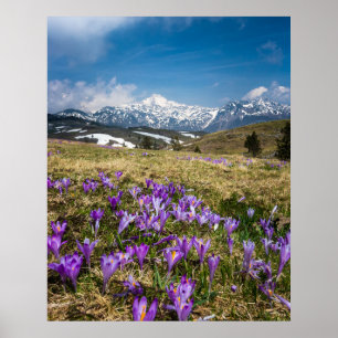 Blume auf Velika Planina, Sl Poster