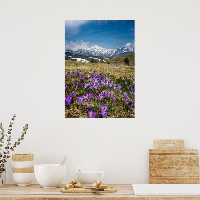 Blume auf Velika Planina, Sl Poster (Küche)