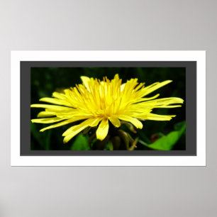 Blume aus gelbem Kronleuchter im Rahmen. Poster