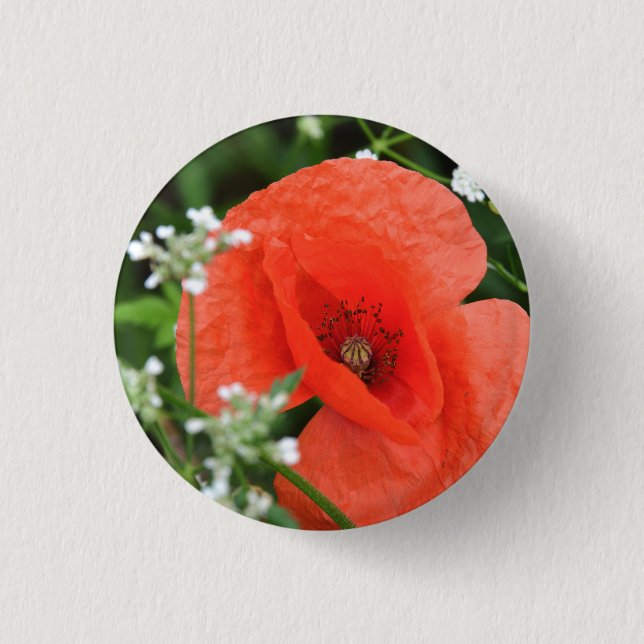 Blume aus Mohn in grüner Vegetation Button (Vorderseite)
