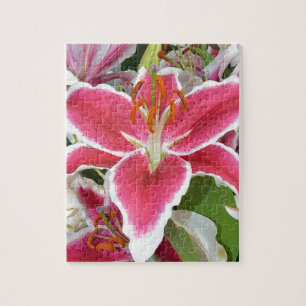 Blume aus rosa Sterngazer Puzzle