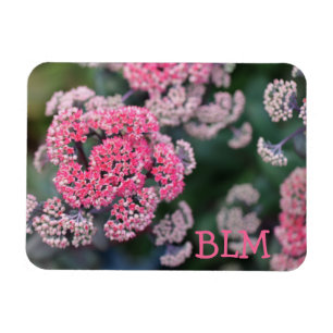 Blume aus rosa und weißem Butterfly Magnet