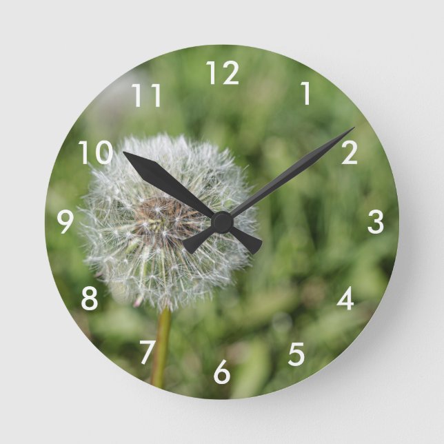 Blume aus weißem Löwenzahn auf grünem Gras Runde Wanduhr (Vorderseite)