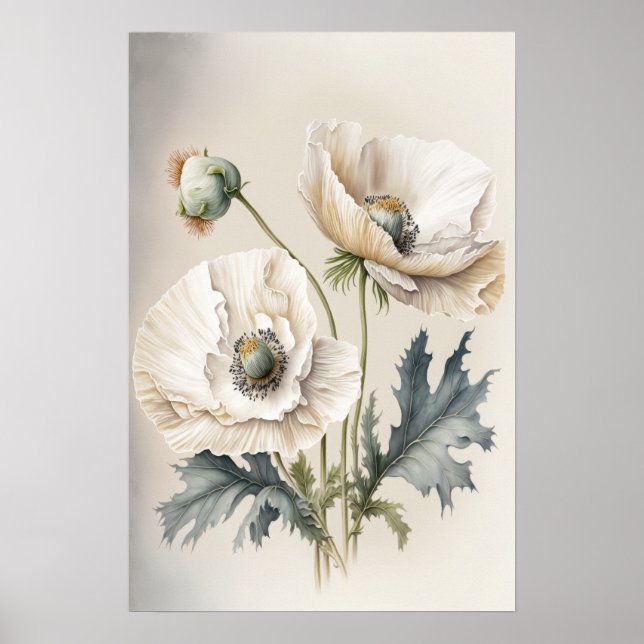 Blume aus weißem Mohn Art Poster drucken (Vorne)