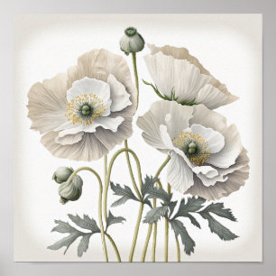 Blume aus weißem Mohn Art Poster drucken