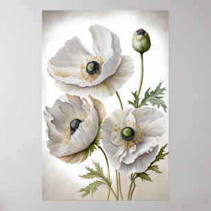 Blume aus weißem Mohn Art Poster drucken