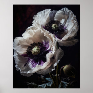Blume aus weißem Orientalisch Mohn Art Pfoster dru Poster