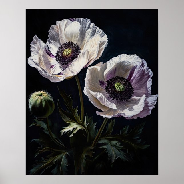 Blume aus weißem Orientalisch Mohn Art Pfoster dru Poster (Vorne)