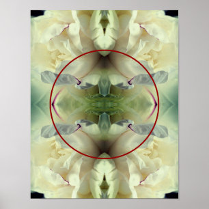 Blume aus weißem Peony erstellen Ihr eigenes Foto Poster