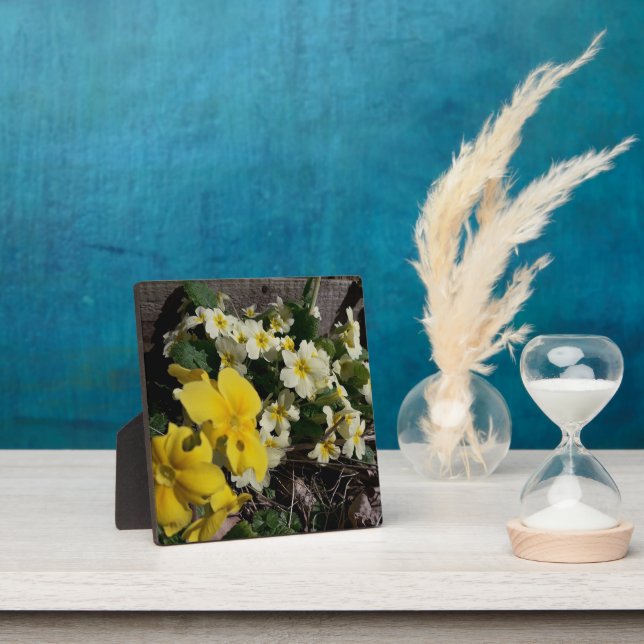 Blume aus weißem und gelbem Garten Fotoplatte (InSitu)