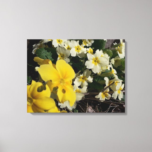 Blume aus weißem und gelbem Garten Leinwanddruck (Vorderseite)