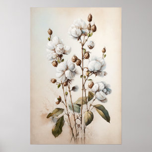 Blume aus weißer Baumwolle Art Print Poster