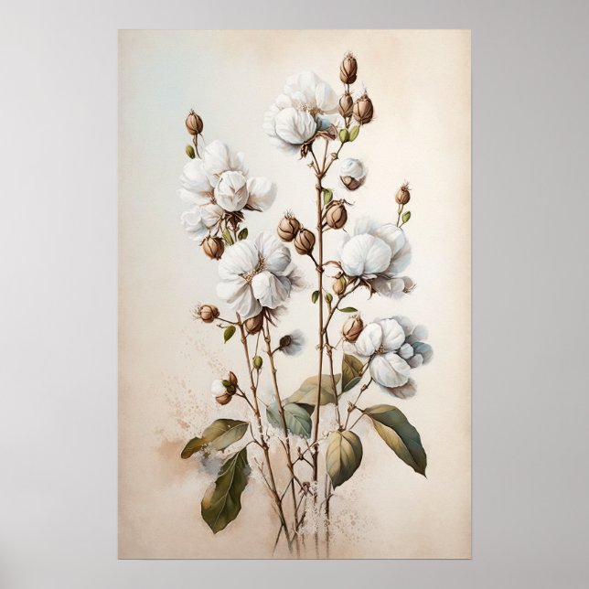 Blume aus weißer Baumwolle Art Print Poster (Vorne)