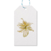 Blume aus weißer Lilie.